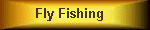 Fly Casting and Trout Guiding